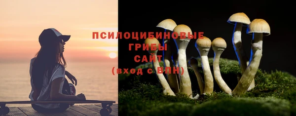 PSILOCYBIN Братск
