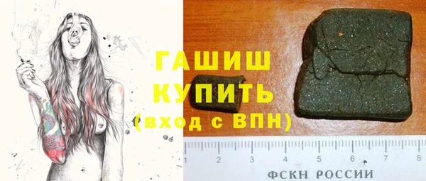 индика Орск