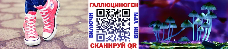 omg ССЫЛКА  Выкса  Галлюциногенные грибы мицелий  купить  