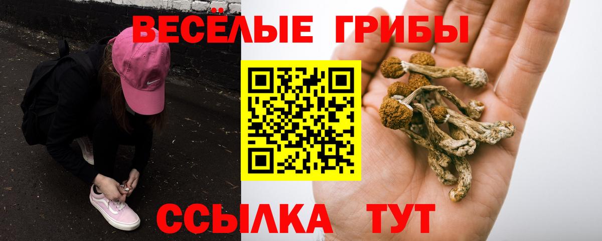Выкса  Псилоцибиновые грибы Magic Shrooms  Вход с VPN 